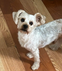 Sophie L.
